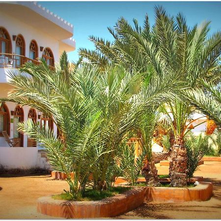 Shams Hotel & Dive Centre Dahab Eksteriør bilde