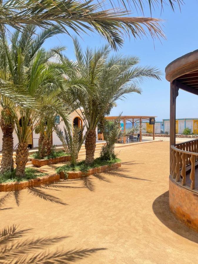 Shams Hotel & Dive Centre Dahab Eksteriør bilde