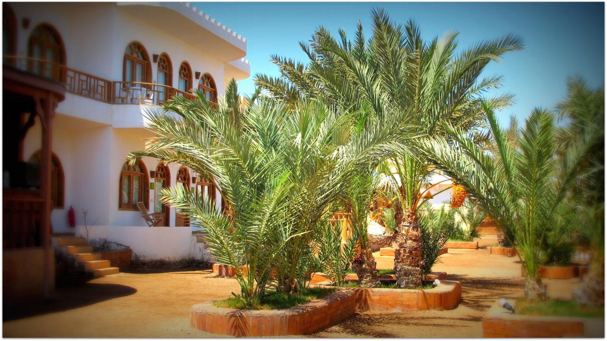 Shams Hotel & Dive Centre Dahab Eksteriør bilde